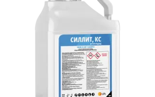 Силлит, КС