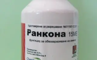 Ранкона 15