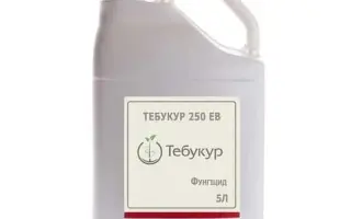 Тебукур 250
