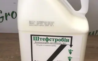 Штефстробін, КС