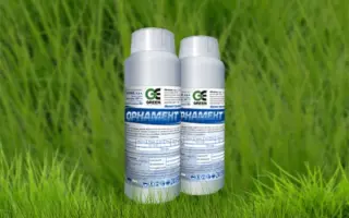 Орнамент FS, TH