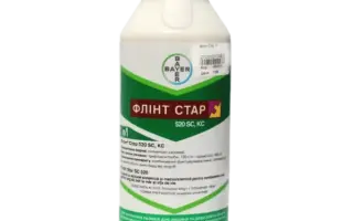 Флінт Стар 520 SС