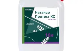Натансо Протект