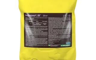 Инферно, ВГ