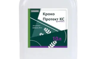 Кроко Протект