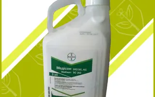 Медісон 263 SС