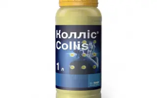 Колліс®