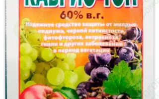 Кабріо®Топ