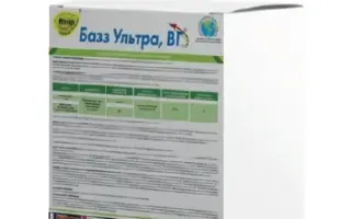 БАЗЗ УЛЬТРА