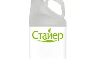 Стайер 500 КЕ