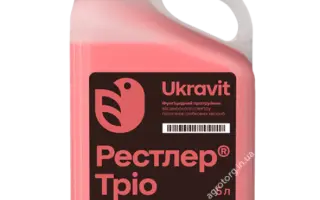 РЕСТЛЕР
