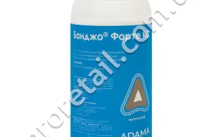 Банджо Форте