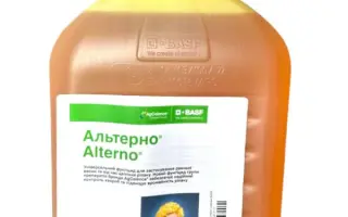 Альтерно®