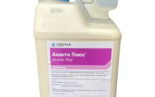 Аканто Плюс