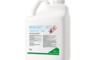 Манітоба КС