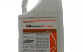 Вайбранс RFC 112,5 FS