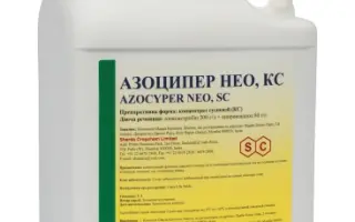 Азоципер Нео