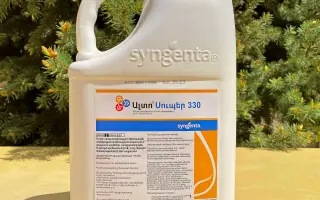 Альто Кьюр 330