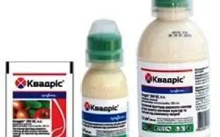 Азогард 250 SC