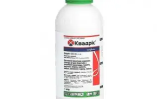 Конклуд 250 SC