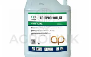 АП-Пропікон