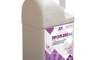Пропі 250 КЕ