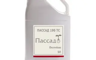 Пассад 190 ТН
