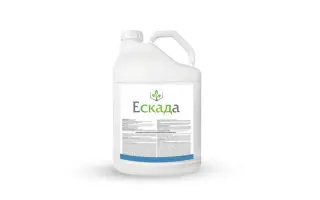 Ескада 488 КС