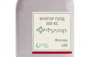 Фулгор Голд 500 КС