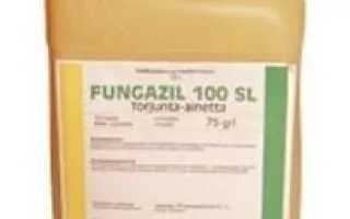 Фунгазіл 100 КС