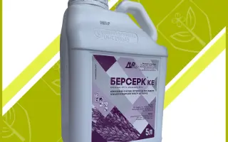 Берсерк