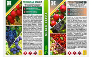 Велдиг 260 ЕС