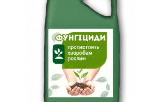 Зантара Квантум 260 ЕС