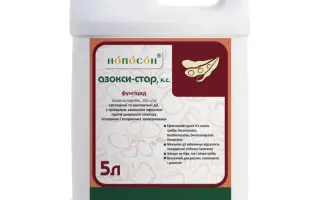 Азокси-Стар