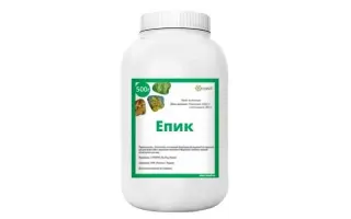 Епік