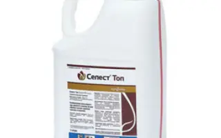 Селест Топ 312,5 FS