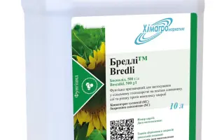 Барклей Корріб