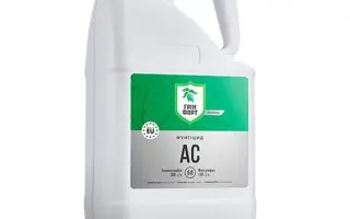 Грінфорт АС