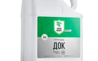 Грінфорт Док