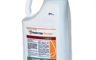 Амистар Некст 280 OD