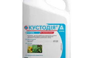 Кустодія КС