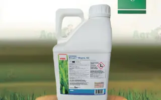 Винцит Форте