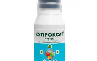 КУПРОКСАТ