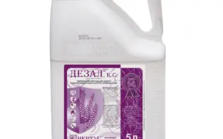 ДЕЗАЛ