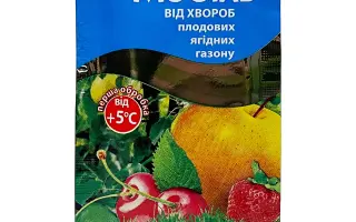 Мобік Протект