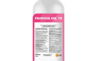 Ранкона 450