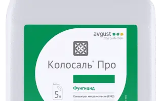 Колосаль Про