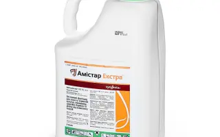 Амистар Экстра 280 SC