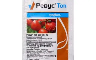 Ревус Топ 500 SC