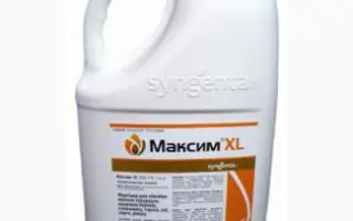 Максим XL 035 FS